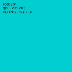 #00CED1 - Robin's Egg Blue Color Image